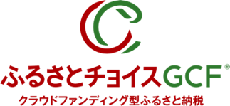 ふるさと納税枠イメージ